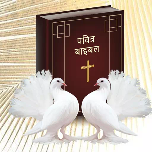 Bible Hindi app icon