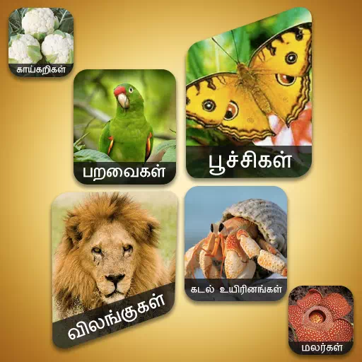 Theriyuma learn GK in Tamil app icon